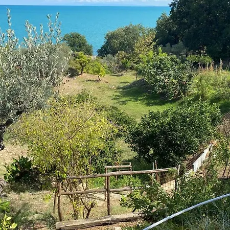 Alpehytte La Casetta Di Olga Vasto