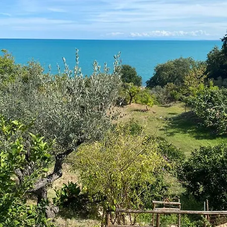 La Casetta Di Olga